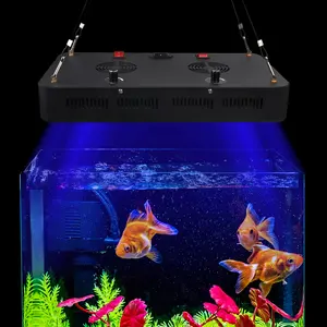 พิพิธภัณฑ์สัตว์น้ำถังโคมไฟทะเลพิพิธภัณฑ์สัตว์น้ำนำแสงเต็มสเปกตรัมสำหรับปลาน้ำเค็ม