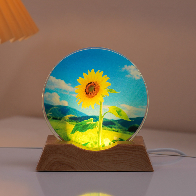 Tournesol coloré