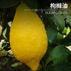 Olio naturale biologico puro <span class=keywords><strong>Oleum</strong></span> Citri olio naturale limone eucalipto essenziale di fabbrica all'ingrosso diretto olio essenziale citrale - Product Image 2