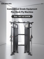 Appareil de musculation professionnel double 100 kg, cadre en acier elliptique plat, machine de crossover à câbles robuste 380 kg pour salle de sport