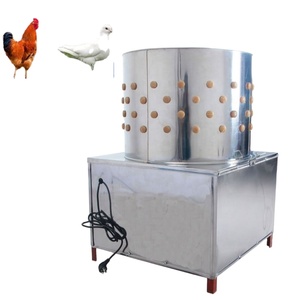 Machine à plumer les poulets électrique, machine à plumer les poulets automatique commerciale, équipement avicole à vendre - Product Image 5