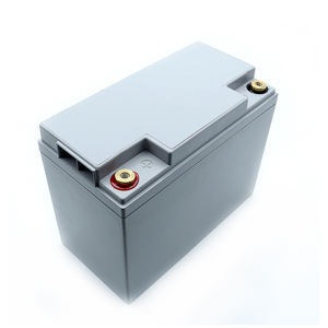 전동 공구 및 전기 자동차용 24V 10Ah ~ 120Ah 맞춤형 LiFePO4 배터리 팩 - Product Image 4