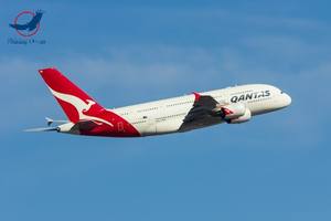 Мульти транспорт Быстрый воздушный морской экспедитор дверь Ddp Экспедитор Австралия Сидней Мельбурн Новая Зеландия Окленд - Product Image 4