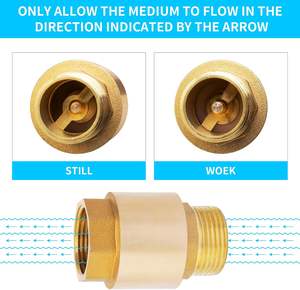 Katup periksa kuningan DN20 3/4 ", katup pencegahan aliran balik ulir wanita dan pria, katup periksa satu arah - Product Image 4