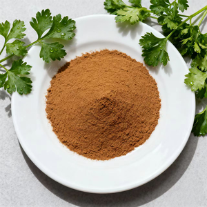 Yüksek kaliteli maydanoz özü tozu 10:1 20:1 yüksek kaliteli maydanoz özü tozu - Product Image 1