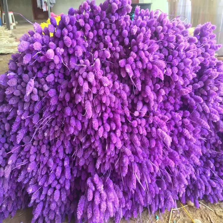 Оптовая продажа, лидер продаж 2020, настоящие консервированные цветы Eheap, искусственные цветы и сушеные цветы, трава из драгоценных камней для украшения