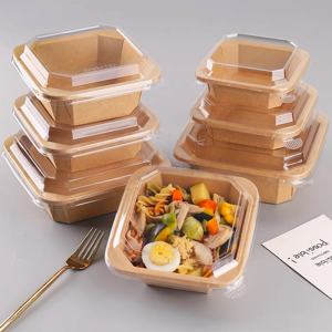 وعاء مربع للسلطة يمكن التخلص منه مخصص ومطبوع ومضاد للماء من ورق الكرافت مع غطاء للحيوانات الأليفة - Product Image 1