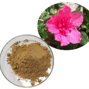 Extracto de <span class=keywords><strong>Rododendro</strong></span> 100% Herbal, Extracto de <span class=keywords><strong>Rododendro</strong></span>, Potencia del <span class=keywords><strong>Rododendro</strong></span> - Product Image 1
