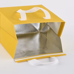 Borsa Termica Monouso in Tessuto Non Tessuto con Rivestimento in Alluminio per Consegna di Bevande e Cibo Caldo e Freddo - Product Image 3