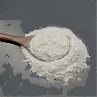 Oferta Especial: Polvo de Carboximetilcelulosa (CMC) a Precio de Fábrica, Espesante para Mejorar la Textura de los Alimentos