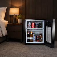 Mini-réfrigérateur portable Green.W Electric 25L 1 porte en acier inoxydable, à dégivrage automatique, faible bruit, écoénergétique, pour usage hôtelier