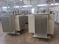 Transformateur de distribution d'huile extérieur triphasé 50 kVA 100 kVA 200 kVA 160 kVA 500 kVA 750 kVA 1000 kVA 11 kV 15 kV 20 kV 33 kV