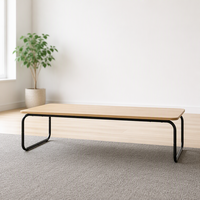 Table basse de luxe en fer forgé au design nordique, mobile pour usage domestique