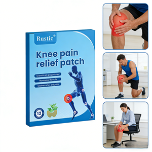 エアレンデODM/OEM漢方ヘルスケア用品環境に優しいよもぎ肩こりパッチ（膝用）12枚入り/箱 - Product Image 1