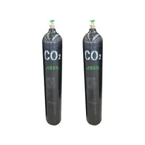 Food Grade 99.995% CO2 Gas Cylinder Carbon Dioxide Gas Liquid