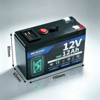Pack de batteries LiFePO4 12V, plusieurs couleurs de coque au choix, rechargeable, cycle profond, pour le camping et les situations d'urgence