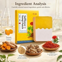 Patchs en gros de curcuma, salvia, safron et notoginseng, 20 pièces/boîte, pansements à base d'armoise pour le soulagement des douleurs articulaires, soutien du cou et de la taille