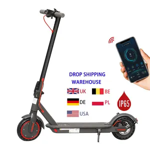 Metal Mudguard Disc Brake IP65 Waterproof E Scooter Adult Cheapest Electric Scooters Delivery from China UK EU
