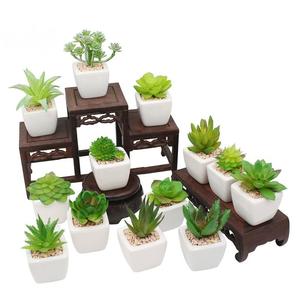 가정용 욕실 또는 작은 공간 장식을위한 플라스틱 냄비에 작은 흰색 인공 다육 식물 - Product Image 4