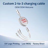 Câble de charge rétractable personnalisé avec logo, impression UV, boîtier ABS durable, entrée USB Type C, cordon de chargeur multiple promotionnel