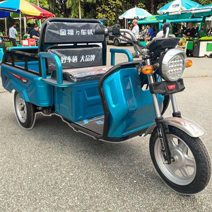 Triciclo Abierto de 60V y 1000W de Potencia, Vehículo de Tres Ruedas con Capacidad de Carga de 200-300kg y Velocidad de 30Km/h para Alquiler - Product Image 2