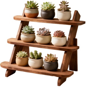 Étagère de rangement en bois naturel, support pour plantes d'intérieur et d'extérieur, pour Funko Pop, boucles d'oreilles, bagues, bijoux, organisateur de comptoir de salle de bain - Product Image 1