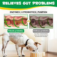 OEM ODM Private Label Supplément de santé digestive probiotique pour animaux de compagnie 150 Friandises digestives probiotiques à mâcher pour chiens