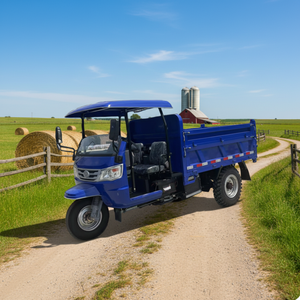 Triciclos con Motor de 2 Plazas, con Cinturón de Seguridad y Parasol, para Uso Agrícola y Minero, Gran Venta - Product Image 3