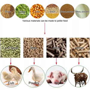 L'usine vend un granulateur de combustion de la scierie, une coquille de paille de riz et un granulateur de scierie, qui est utilisé pour fabriquer du s - Product Image 5