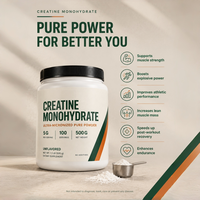 Bubuk Creatine Monohydrate 500g 60 Sachet Vegan Murni Mikronisasi untuk Olahraga Gym Peningkatan Kekuatan Otot Performa untuk Dewasa OEM ODM HALAL