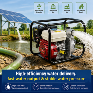 Potente Bomba de Agua de Larga Duración para Riego a Gran Escala en Jardines, Directo de Fábrica con Certificación CE, 2 Pulgadas, 7.5HP, Mercado de India - Product Image 2