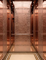 Ascensore Passeggeri Fareo Moderno in Acciaio Inox Senza Ingranaggi AC - Durevole, Facile Installazione, Pavimento in PVC, per Appartamenti/Centri Commerciali 1
