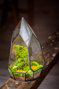 Không thường xuyên gần hình học thủy tinh bán buôn Acrylic <span class=keywords><strong>Terrarium</strong></span> bò sát PVC Acrylic Pet lồng DIY trang trí nội thất tường nghệ thuật để nhà máy Terra - Product Image 6