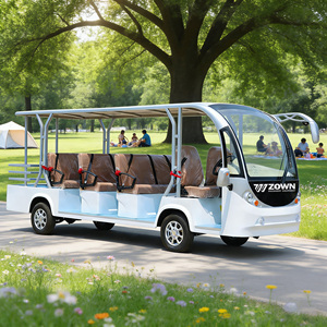 Minibús Eléctrico de 5 Plazas, Vehículo Turístico Descapotable con Batería de Litio y Motor de Corriente Alterna para Uso en Campos de Golf y Parques - Product Image 1
