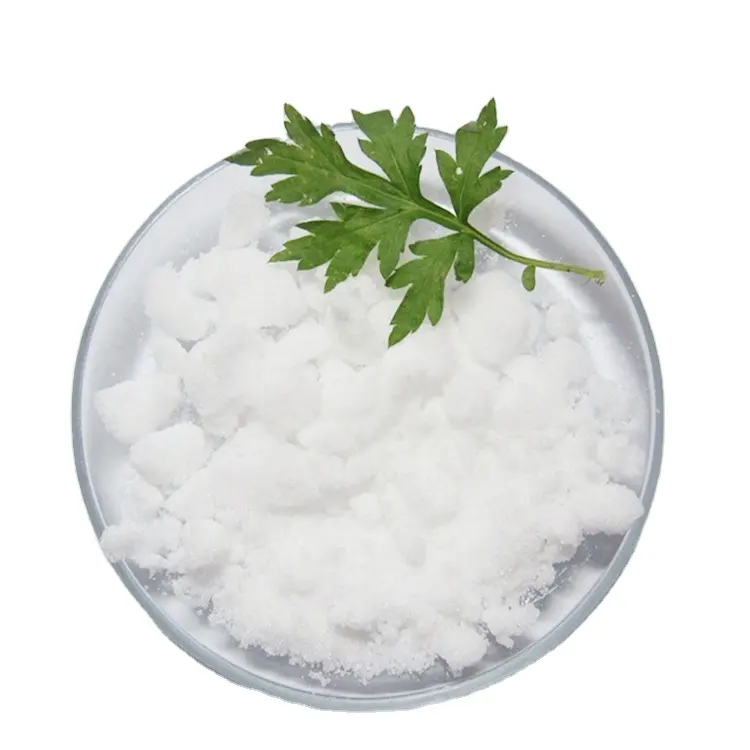 Use of camphor camphor powder