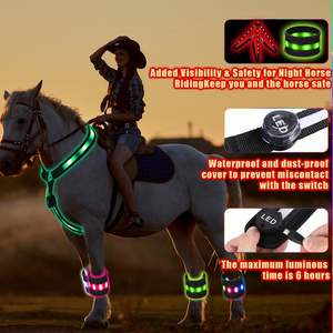 Set de Accesorios Luminosos para Caballos, Collar y Banda LED para Patas de Caballo, Recargable por USB, Seguridad Ecuestre, Visibilidad Ajustable - Product Image 4