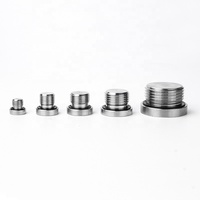 Bouchon en acier inoxydable ss304 raccord BSPT / BSPP / NPT filetage mâle 304 embout hexagonal en acier inoxydable prise hexagonale intérieure