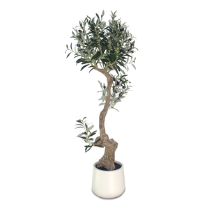 CHUANGFA 120cm en plastique <span class=keywords><strong>olivier</strong></span> artificiel-usage intérieur multi-pièces paquet Thanksgiving et décoration <span class=keywords><strong>de</strong></span> Noël pièce maîtresse <span class=keywords><strong>de</strong></span> mariage - Product Image 6