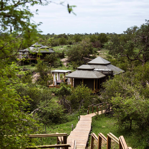 Tente familiale d'extérieur Safari Park Level 10 en PVC double couche, imperméable, à ouverture rapide, avec armature diagonale, résistante au vent, pour les <span class=keywords><strong>vacances</strong></span> d'été - Product Image 2