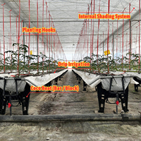 Serre tunnel horticole monocouche en film PE de grande taille, économique, en promotion, pour la culture des baies et des tomates