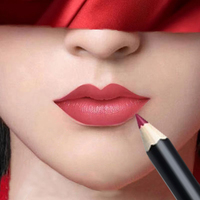 Crayon à lèvres de haute qualité avec logo personnalisé Maquillage minéral imperméable à l'eau à haute teneur en pigments longue durée sans nom Crayon à lèvres de haute qualité
