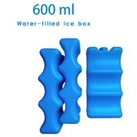 Boîte à glace pour lait maternel 600ML, sac pour maman, double face, vague, bleu glacé, injection d'eau, réfrigérateur pour la conservation du lait maternel