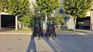 EVERLIFT 브랜드 1 년 보증 중량화물 터미널 핸들링 용 가솔린 지게차 - Product Image 3