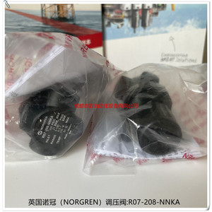 วาล์วลดแรงดันนอร์เกรน R07-208-NNKA 1/4 นิ้วพอร์ตแก๊สแบบนิวเมติก - Product Image 5
