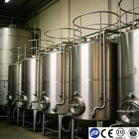 Tanque de Almacenamiento de Agua Mineral de 50-3000L, Acero Inoxidable SS304, Doble Pared, Control de Temperatura, Sistema Expandible, Certificado CE, Fabricante Chino
