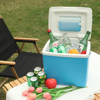 Mini boîte isotherme portable de 13L pour le camping en plein air le pique-nique le stockage des aliments en plastique
