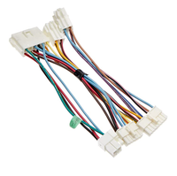 Câble personnalisé avec connecteur JST, adaptateur 2.0 Molex Pico Blade Microfit, pas de 2,54 mm, 10 conducteurs en cuivre, gaine PVC, pour moto et automobile