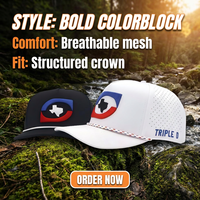 Gorra de Golf Personalizada con Bordado 3D en Relieve, Visera Curva, Perforaciones Cortadas con Láser, Malla Impermeable de Secado Rápido, Gorra Trucker de 5 Paneles