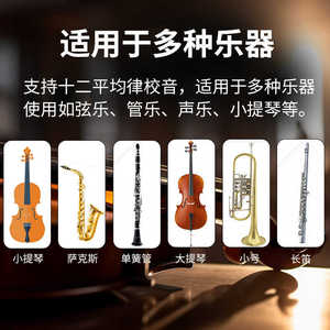 Afinador de Erhu con tecnología de chip, 430Hz 450Hz ajustable para Erhu, violín, guitarra, saxofón, accesorios para instrumentos musicales - Product Image 5