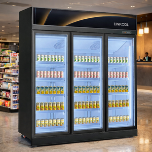 Refrigerador Comercial de 3 Puertas de Vidrio para Supermercado, Vitrina Vertical Eléctrica para Bebidas Congeladas, Refrigerador de Doble Puerta - Product Image 5
